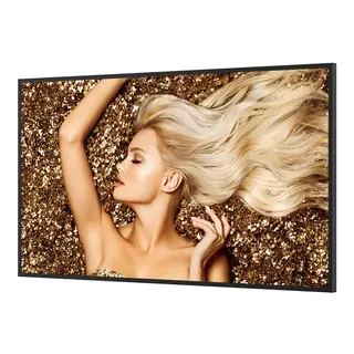 BenQ SL4302K