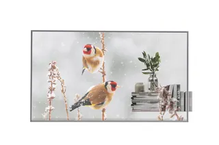 LG 55EW5P-M